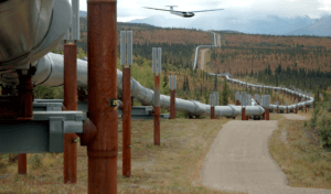 Vedette Surveying Oil Pipeline